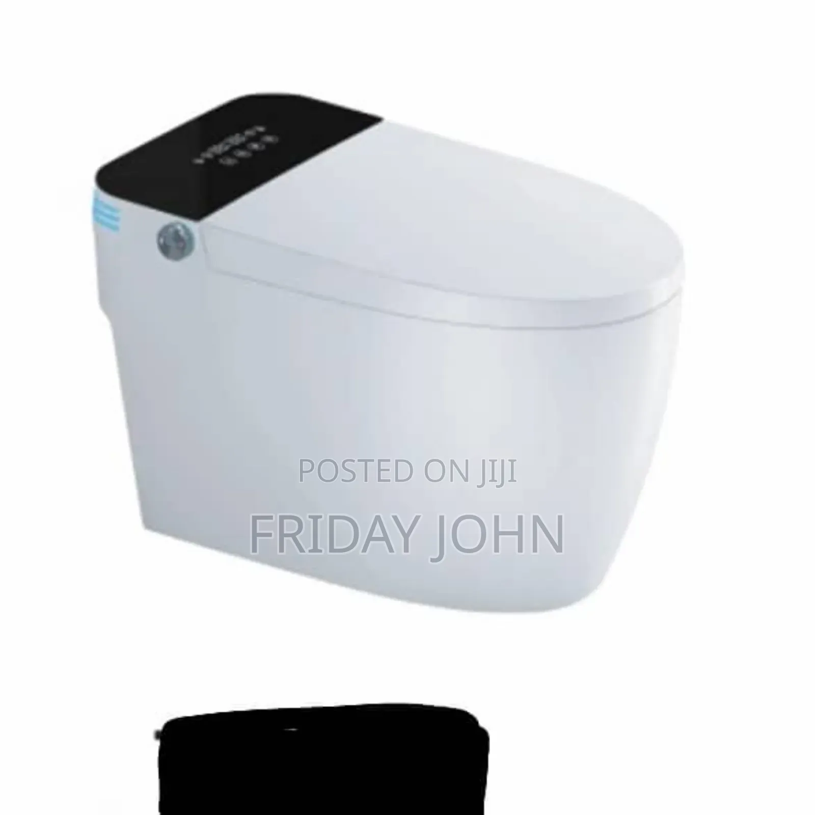 Electronic Toilet