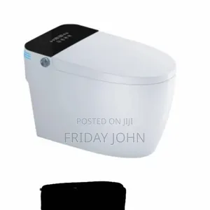 Electronic Toilet