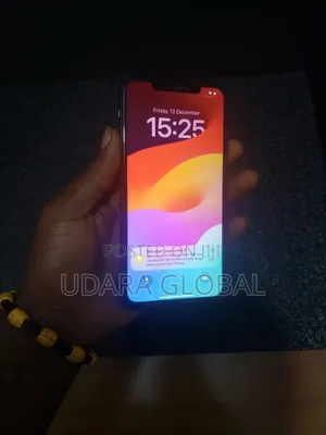 Apple iPhone 11 Pro Max 256 GB Gray