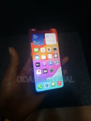 Apple iPhone 11 Pro Max 256 GB Gray