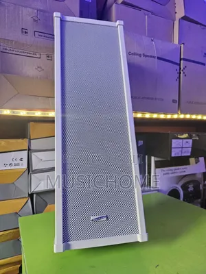 Pair Of Column White Speaker