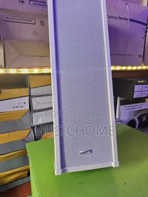 Pair Of Column White Speaker