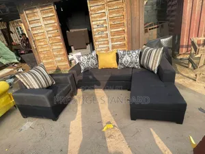 A Standard Living Room Cushion