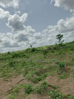 56.2 Acres of Land With C of O