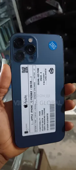 Apple iPhone 12 Pro Max 256 GB Gray