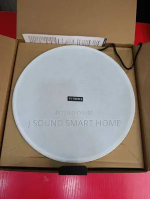 50watts Frameless Single Bluetooth Speaker For Pop/ Ceiling Speaker