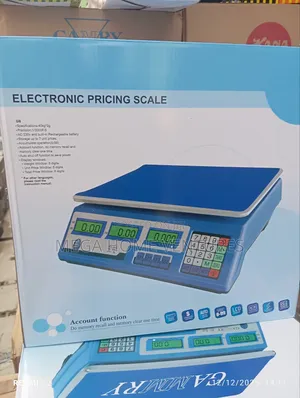 Electronic Pricing