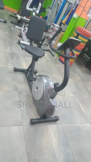 Recumbent Exercise Bike ( Dy 430)