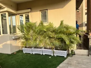 Expert Landscaping Garden Design Services (Fast Neat Work)