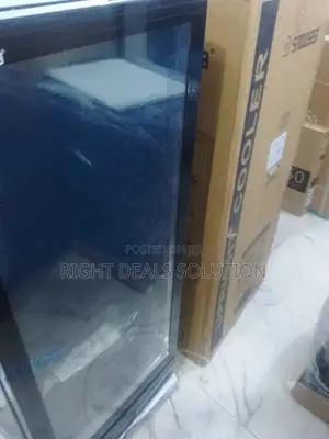 Stay Fresh: Exploring the Snowsea Ls270 Upright Cooler"