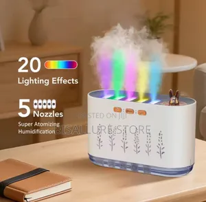 Humidifier And Diffuser