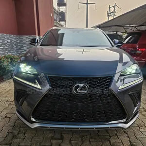 Lexus NX 300 AWD 2020 Gray
