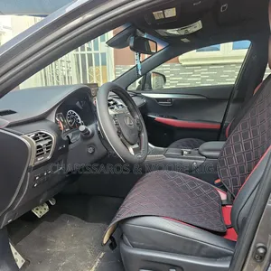 Lexus NX 300 AWD 2020 Gray