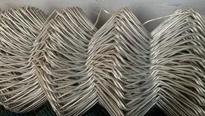 Original Mesh Net