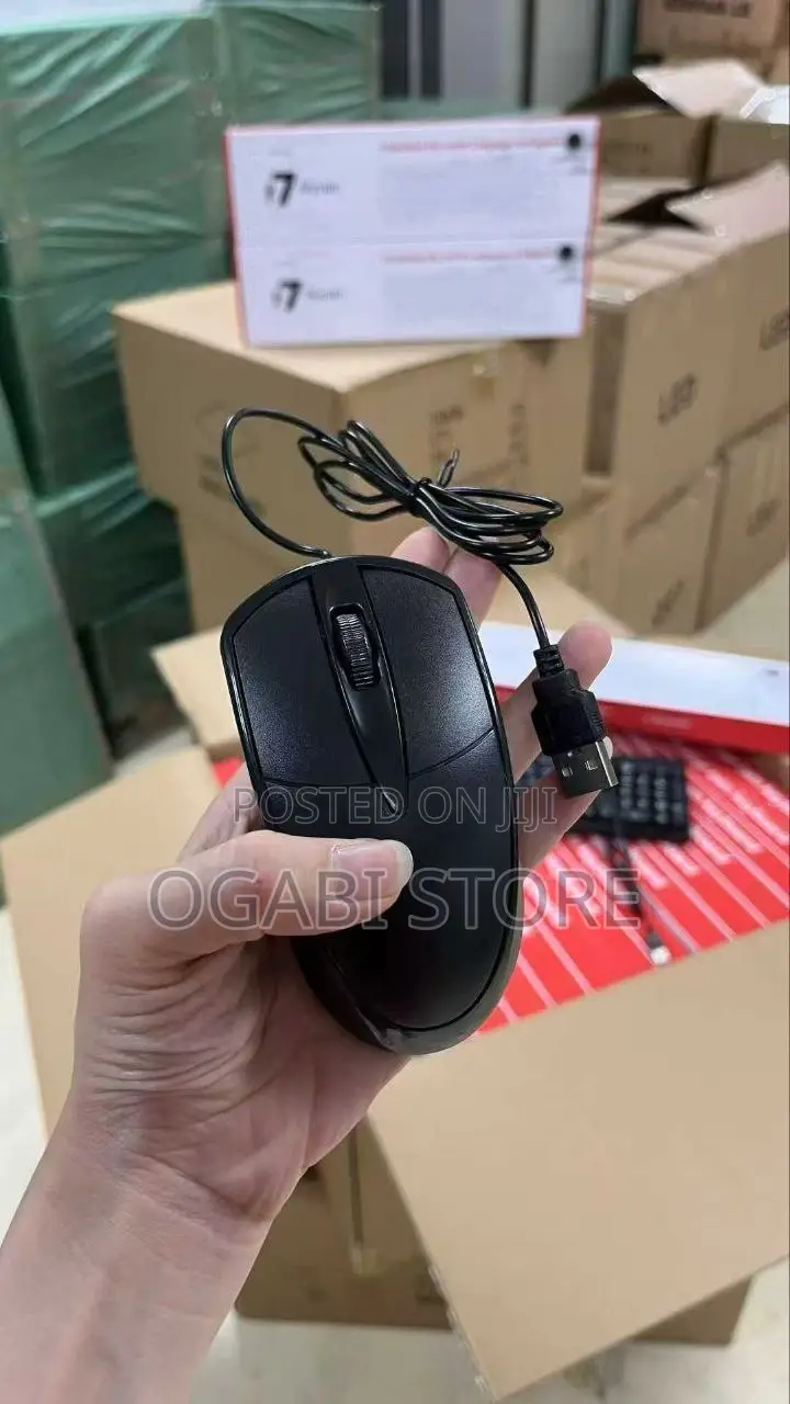 Laptop Mouse