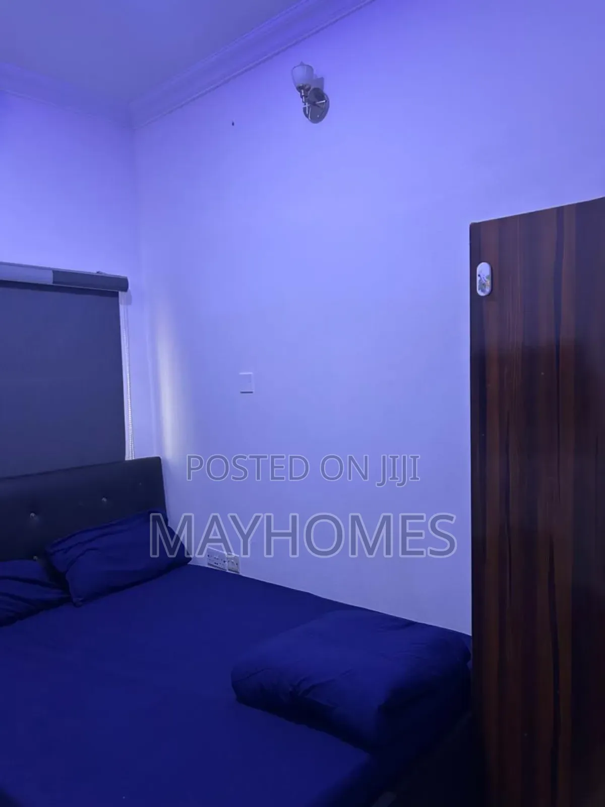 Roommate Needed