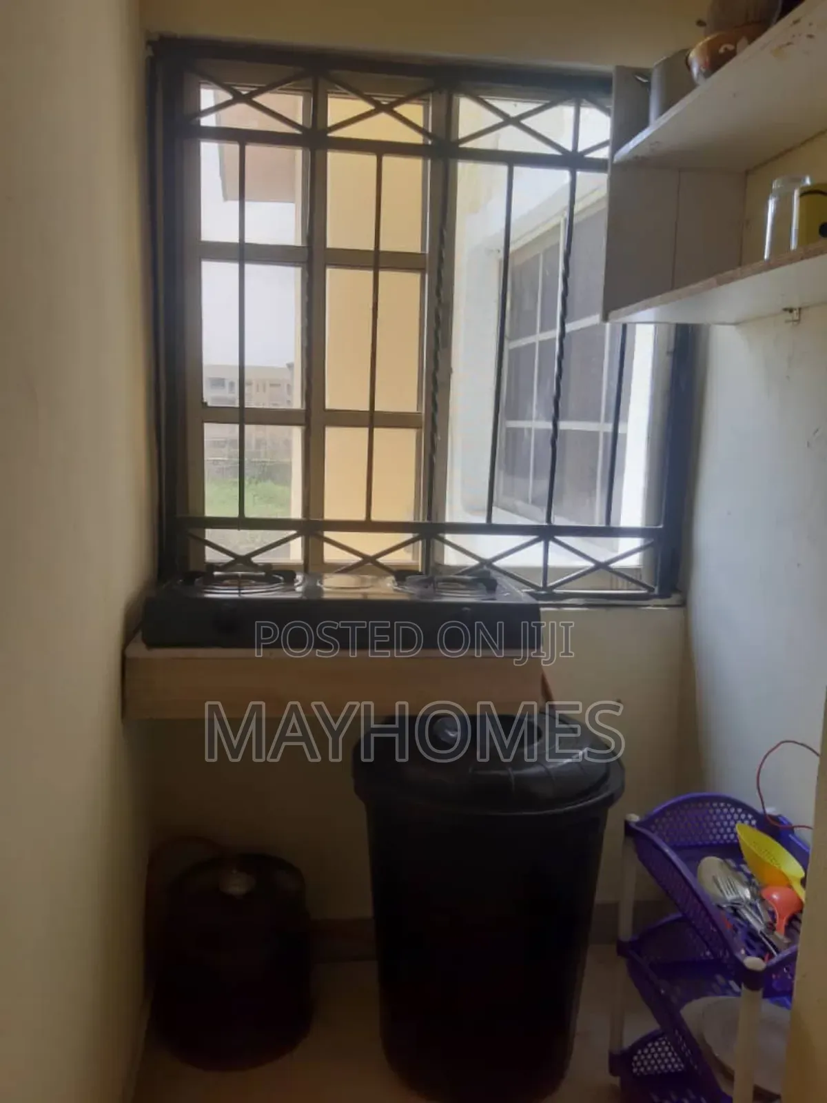 Roommate Needed