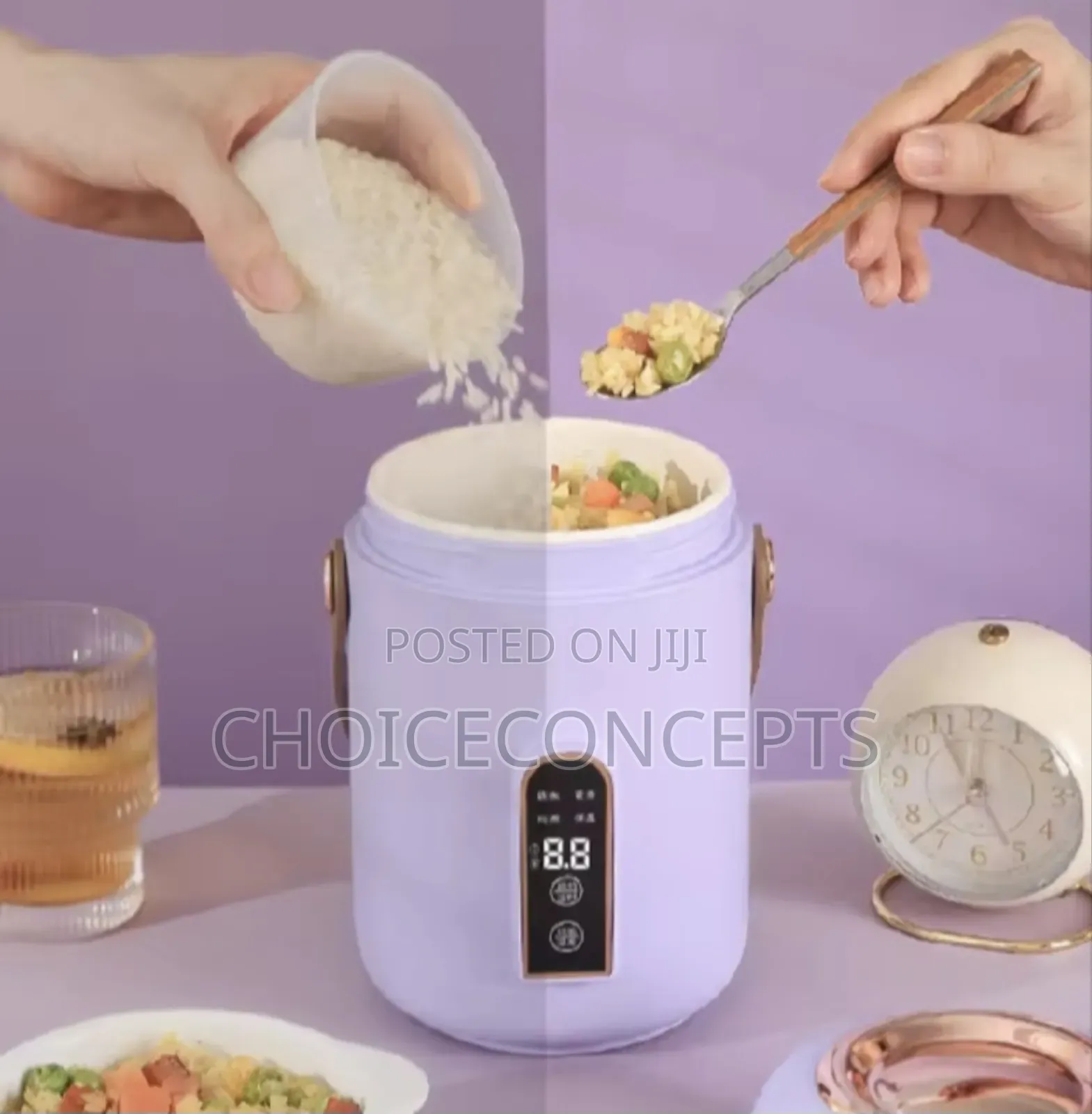 Electric Stew Pot