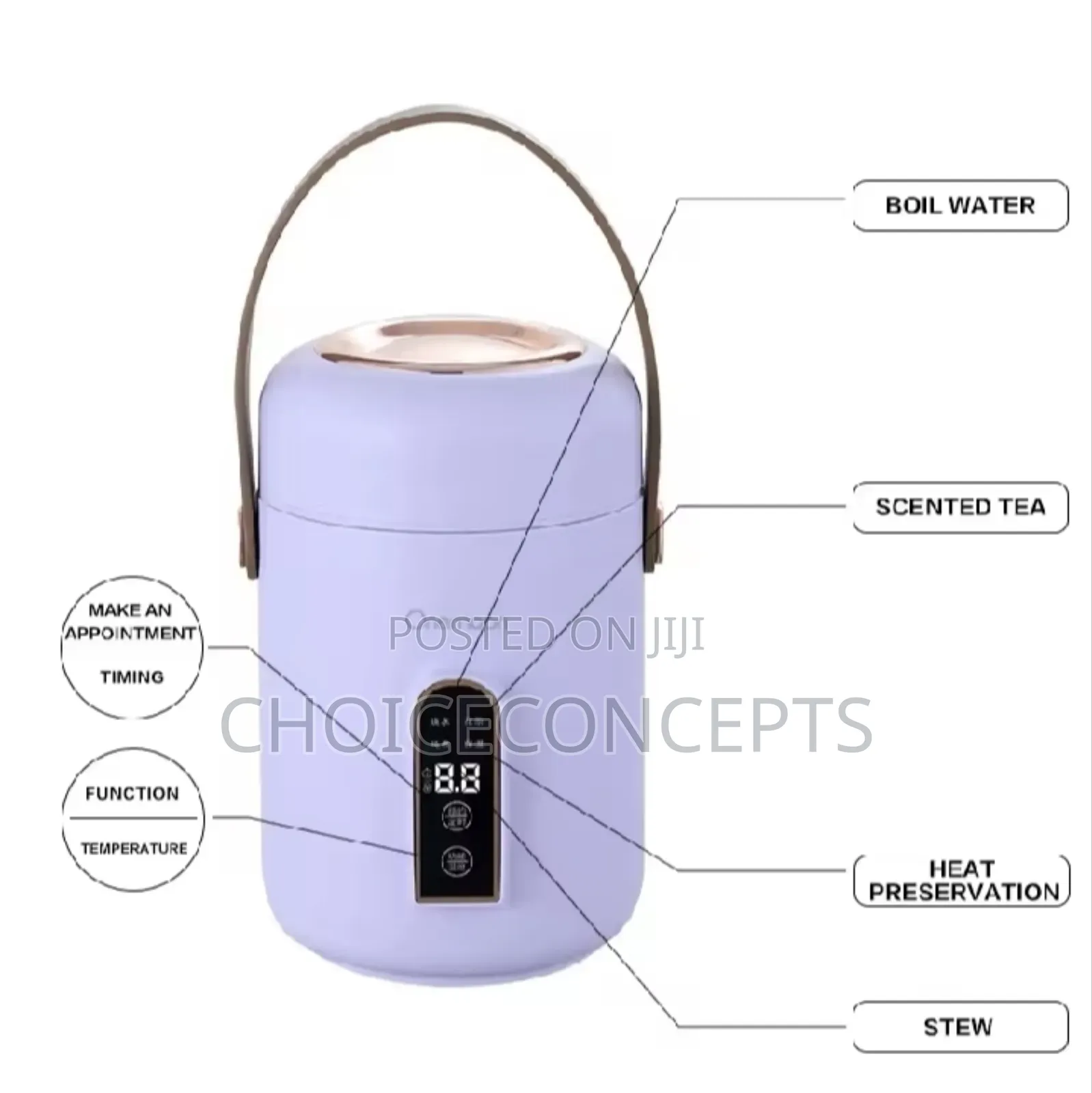Electric Stew Pot