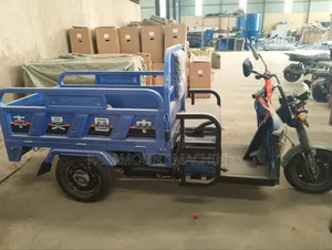 Electric Tricycle