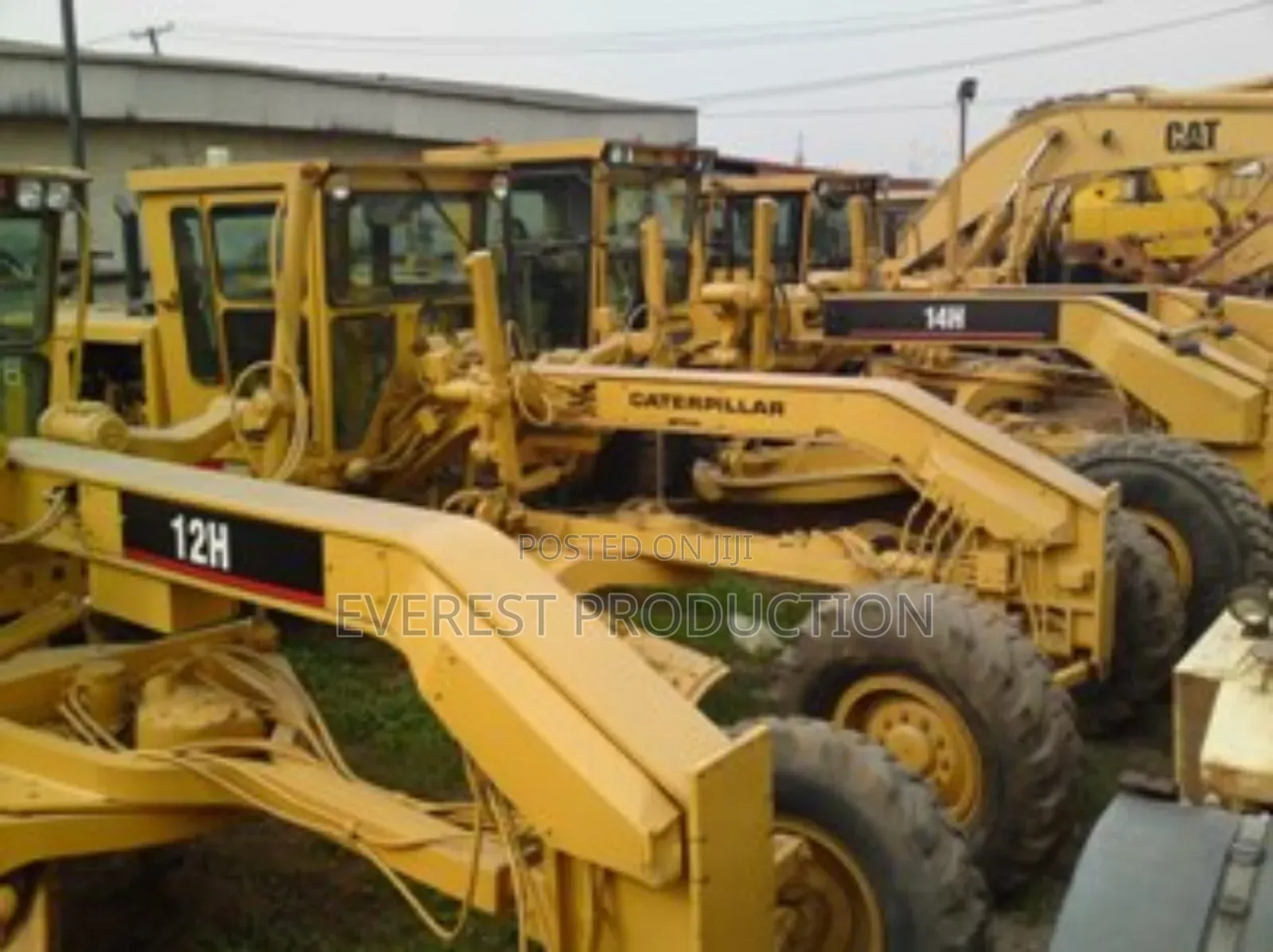 German Cat Graders