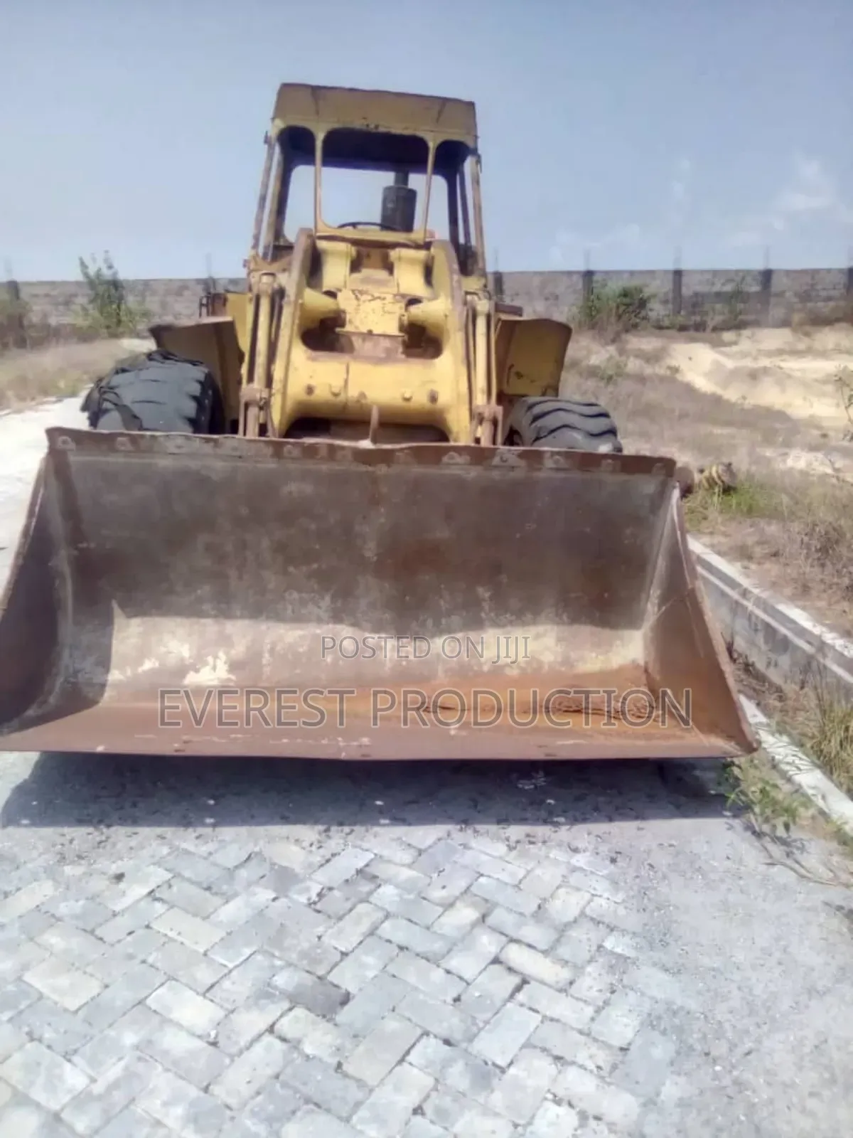 Cat Payloader
