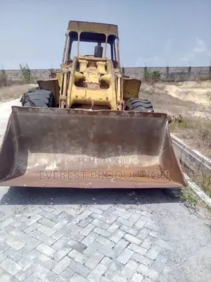 Cat Payloader