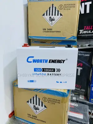 1.3kwh/12.8v (100a) C-Worth Lithium Ion Battery