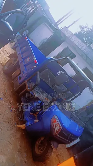 New Tricycle 2025 Blue