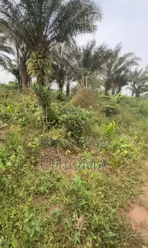 Land For Sale In Owerri – Direct Owner