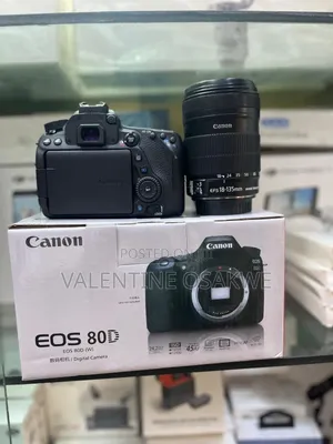 Canon 80d With 18-135