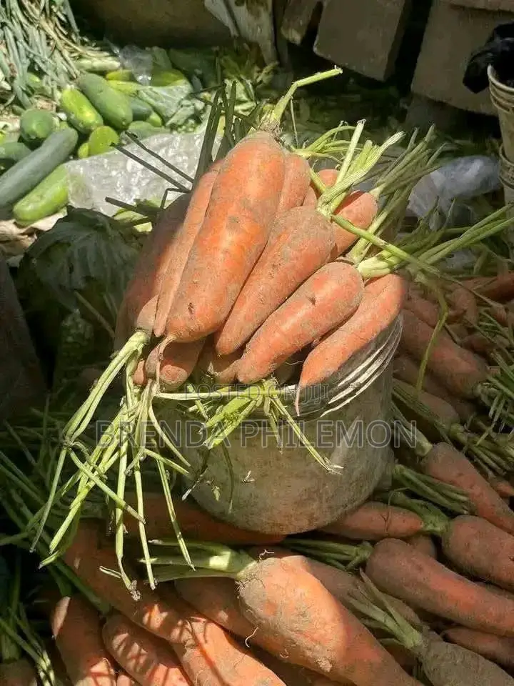 Fresh Veggies