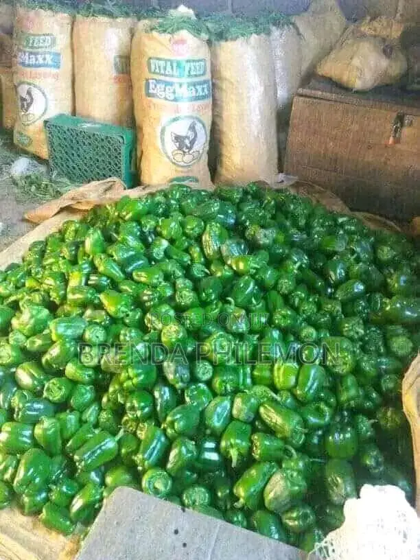 Fresh Veggies