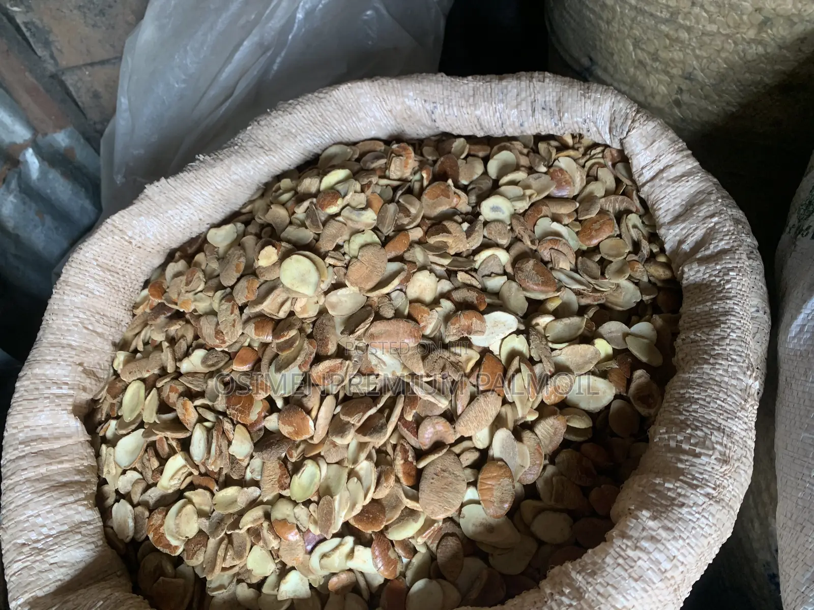 Ogbonor Seeds