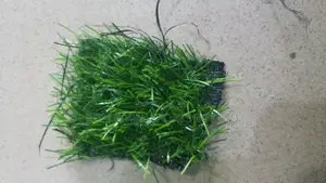 Quality & New Artificial Grass Carpet Turf For Home & Garden.