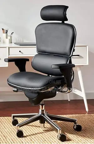 Executive Ergonomic Chair