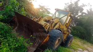 Payloader 966c