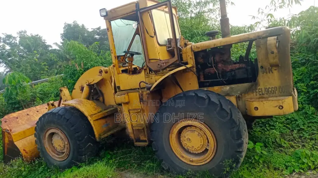 Payloader 966c