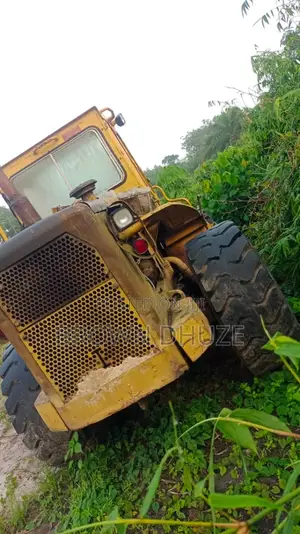 Payloader 966c