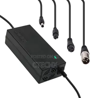 25.2v Electric Bicycle Scooter Battery Charger Battery 24v 36v 48v