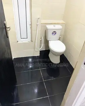 Post Construction Cleaning Service Toilet