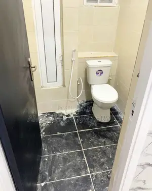 Post Construction Cleaning Service Toilet