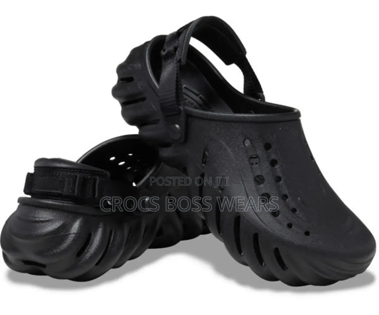 Echo Crocs