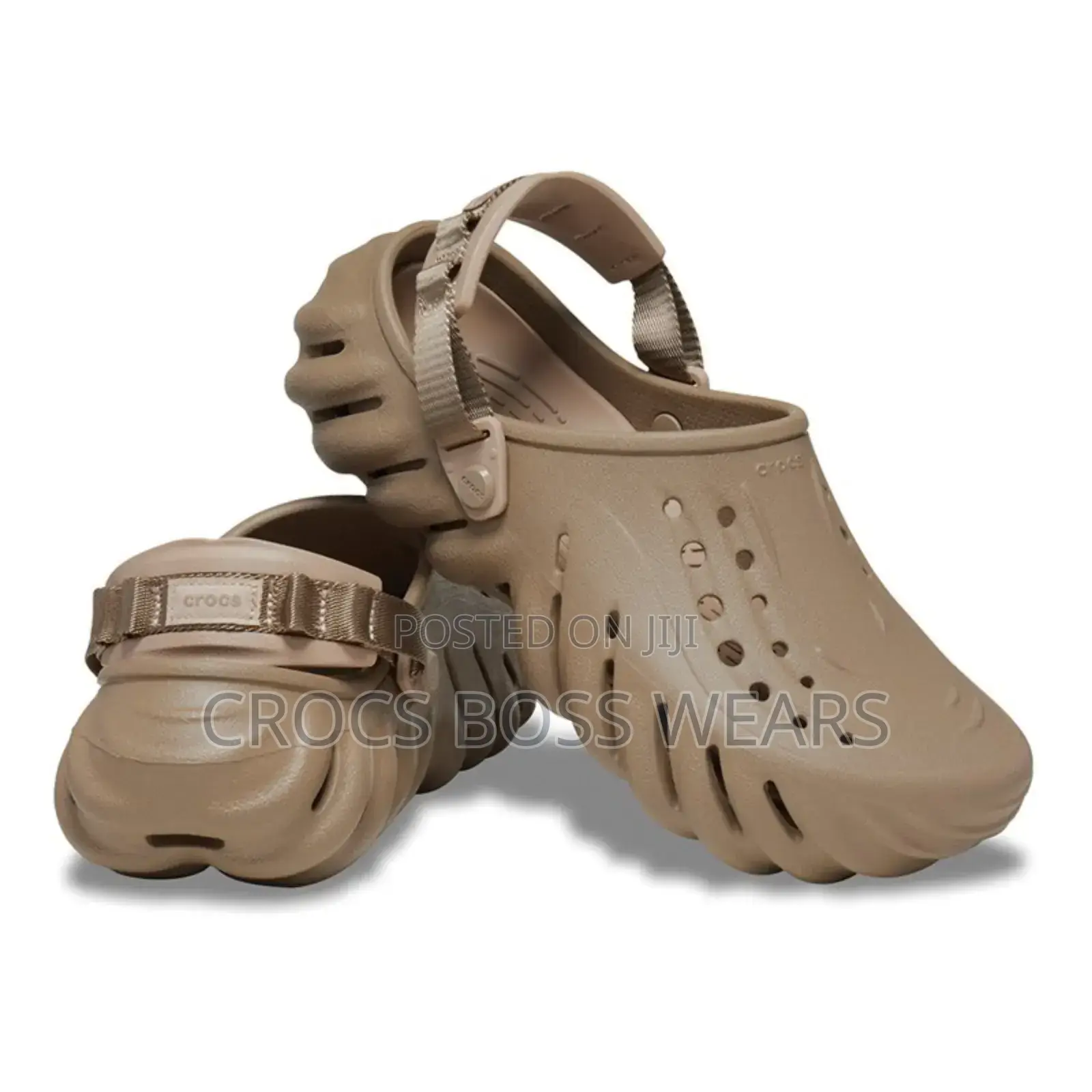 Echo Crocs