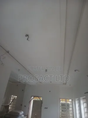 Screeding Professional