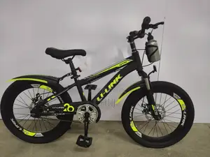 New Arrival Usa Standard Teenage Bicycle Available for 10 17 Year