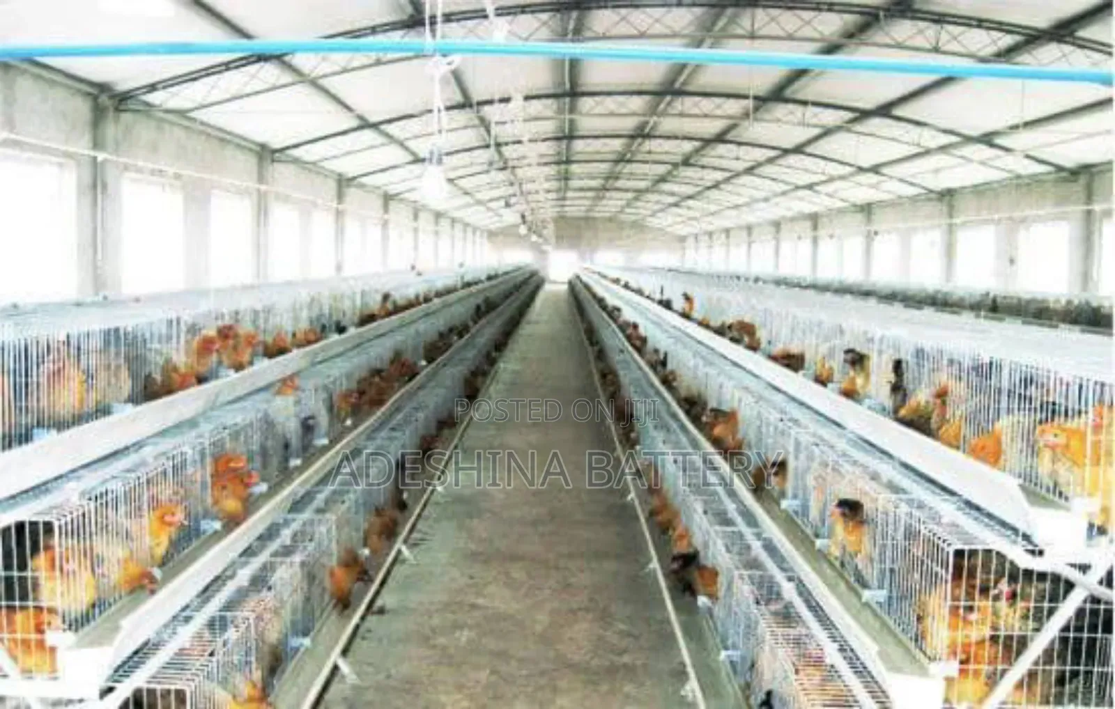 Shina Poultry Cages