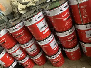 Insucoat Paint