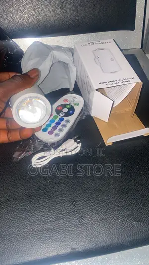 Rechargeable Magnetic Motion Sensor Night Light With Remote