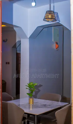 Serviced Apartment (Shortlet)